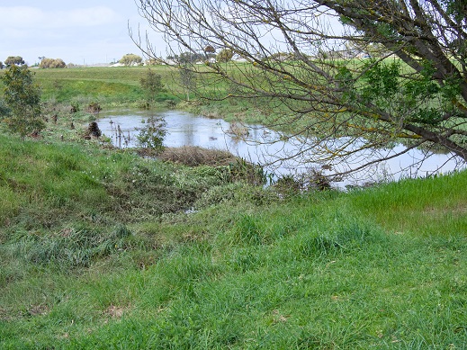 creek photo